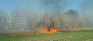 Ilustračný obrázok